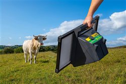 140710_p240_rinder_charolais_wiese_0433-4756_ohne_kaelber
